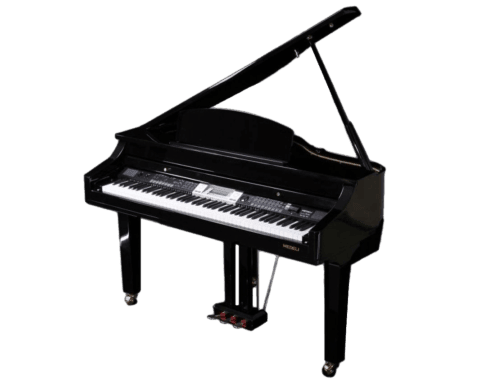 Medeli Grand 500